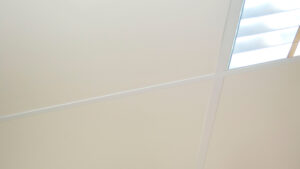 Freshtone™ Ceiling Tiles