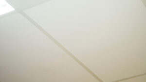 Supatone™ Ceiling Tiles